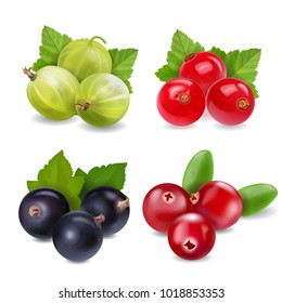 Blackcurrant Images, Stock Photos & Vectors | Shutterstock