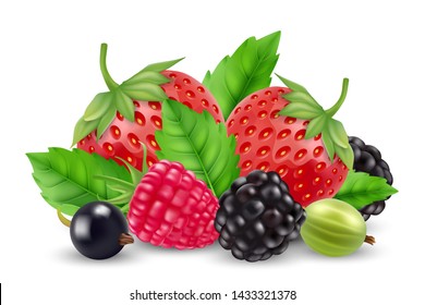 Realistic berries vector. Strawberry, raspberry, goose berry, blackberry isolated on white background. Berry of pile, raspberry and strawberry, blackberry and blueberry illustration