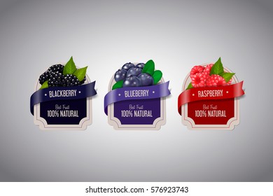 Realistic Berry Labels Set With Blackberry, Blueberry And Raspberry Fruits Isolated. Berry Jam Label Design Template.