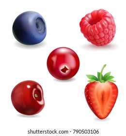 Realistic berry set. Strawberry, raspberry, blueberries, cherry black currant illustration