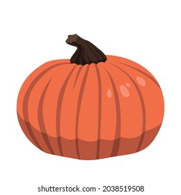 Calabaza naranja grande realista sobre fondo blanco - Ilustración vectorial