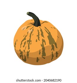 Calabaza naranja grande realista sobre fondo blanco - Ilustración vectorial