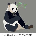 Realistic big panda sitting and eating bamboo isolated illustration