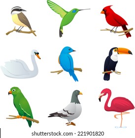 Realistic Bird Species Collection, With Nine Different Bird Species Vector Illustration. 