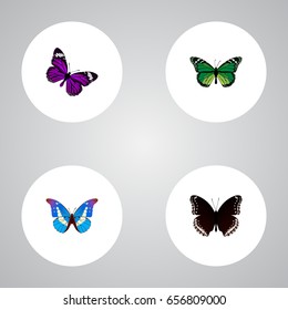 Realistic Birdwing, Butterfly, Bluewing And Other Vector Elements. Set Of Beauty Realistic Symbols Also Includes Beautiful, Blue, Malachite Objects.