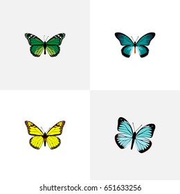 Realistic Birdwing, Lexias, Archippus And Other Vector Elements. Set Of Moth Realistic Symbols Also Includes Blue, Butterfly, Green Objects.