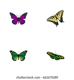 Realistic Birdwing, Purple Monarch, Green Peacock And Other Vector Elements. Set Of Moth Realistic Symbols Also Includes Swallowtail, Malachite, Fly Objects.