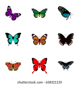 Realistic Birdwing, Sangaris, Monarch And Other Vector Elements. Set Of Beauty Realistic Symbols Also Includes Julia, Bluewing, Green Objects.