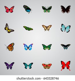 Realistic Birdwing, Tiger Swallowtail, Green Peacock And Other Vector Elements. Set Of Beauty Realistic Symbols Also Includes Sky, Peacock, Bluewing Objects.