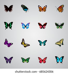 Realistic Birdwing, Tropical Moth, Butterfly And Other Vector Elements. Set Of Butterfly Realistic Symbols Also Includes Swallowtail, Morpho, Butterfly Objects.