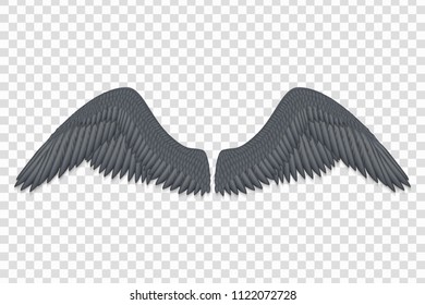 realistic black angel wings isolated 