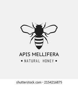 Realistic black bee emblem with text. Apis mellifera realistic black image. Bee logo.