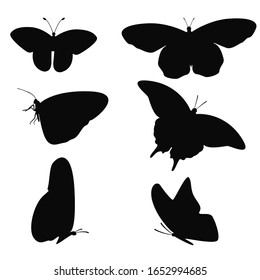 Realistic black butterfly silhouettes. Butterflies. Vector illustration. 