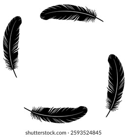 Realistic Black Feather Frame Vector Illustration – Elegant Feather Border Design for Decorative and Artistic Projects