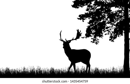 Realistic black illustration of standing deer with antlers, grass and high tree. Isolated on white background, with space for text - vector