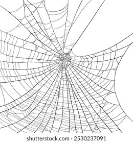 Realistic Black large Spiderweb on White Background for Halloween, Horror projects, or Decorative purposes with Skull