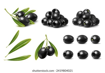 Realistic black olives, isolated olive branch with leaves. Isolated vector berries, natural vegetable, healthy food. Ripe plant on stem with foliage, eco production, ingredient for oil, salads meals