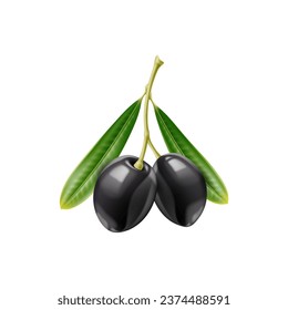 Realistic black olives, raw olive isolated branch and leaves. 3d vector glistening berries dangle from lush, green stem, a symphony of Mediterranean flavors captured in every succulent, jet-black orb