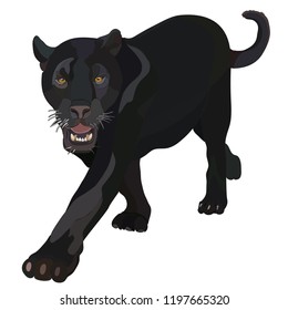 Realistic black panther. Vector illustration, EPS 10