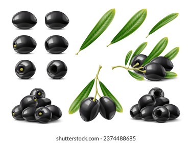 Realistic black raw olives. Isolated olive branch and leaves. 3d vector berries, nestled amidst vibrant green foliage, dangle from a rustic branch, offering a tantalizing taste of the Mediterranean