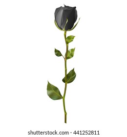 Realistic Black rose isolated on white. EPS 10 vector file included