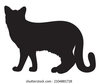 Realistic black silhouette of a cat. vector illustration