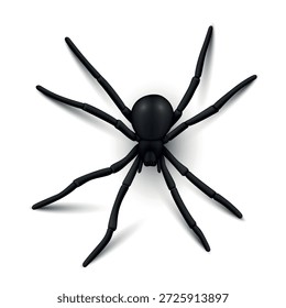 Araña negra realista aislada sobre fondo blanco en un formato de Vector con características detalladas y postura natural