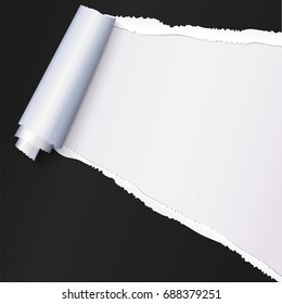 Realistic black torn open paper with space for text on white background, holes in paper. Torn strip of paper with uneven, torn edges. Coiling torn strip of paper