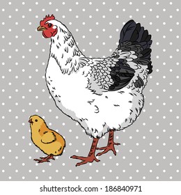 Realistic black and white broody chicken and yellow baby chick, isolated