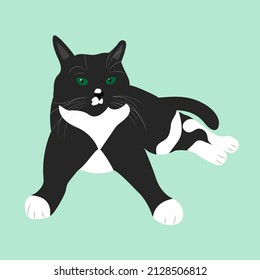 Realistic black and white cat with green eyes. Home pet.
