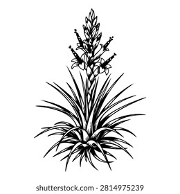 A realistic black and white drawing of a pineapple plant showcasing its spiky leaves and textured fruit at the center.