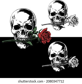 Realistic black and white vector illustration of a skull with a rose in his teeth isolated on black and white background