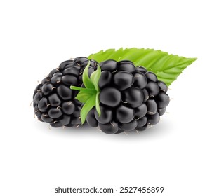 Black berry realista, frutos de baga maduros 3D com folha no fechamento macro, vetor isolado. Framboesas maduras frescas para suco natural ou geleia e pacote de sobremesa doce ou produto orgânico de frutos de baga