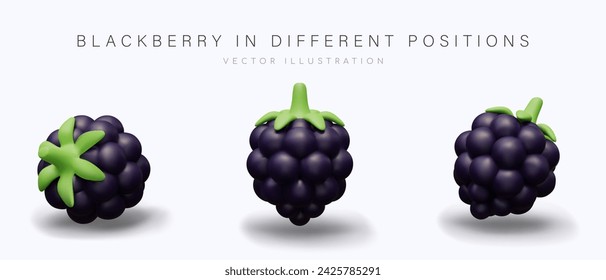 Realistic blackberry in different positions. Wild berry, natural vitamin snack