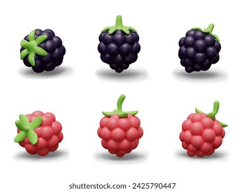 Realistic blackberry and raspberry. Ripe colored berries in different positions