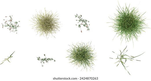 Realistic blades of green grasses set with flower clover,Rhanterium epapposum,Fountain Grass isolated on white background vector illustration from top view