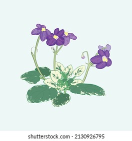 Realistic Blooming African Violet In Vector Art Illustration Design