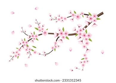 Realistic blooming cherry flowers and petals illustration,cherry blossom vector. pink sakura flower background. cherry blossom flower blooming vector