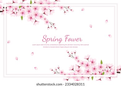 Realistic blooming cherry flowers and petals illustration,cherry blossom vector. pink sakura flower background. cherry blossom flower blooming vector