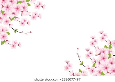 Realistic blooming cherry flowers and petals illustration,cherry blossom vector. pink sakura flower background. cherry blossom flower blooming vector