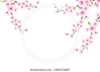 Realistic blooming cherry flowers and petals illustration, cherry blossom vector. pink sakura flower background. cherry blossom flower blooming vector