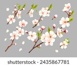 Realistic blossom apricot. 3d branch bloom flowers of plums, apricots cherry peach almond apple sakura fruit tree, blooming flower closeup, advertisement exact vector illustration of apricot bloom