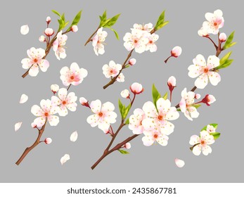 Realistic blossom apricot. 3d branch bloom flowers of plums, apricots cherry peach almond apple sakura fruit tree, blooming flower closeup, advertisement exact vector illustration of apricot bloom