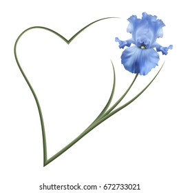 Realistic blue iris, romantic frame, the symbol of friendship and fidelity. 