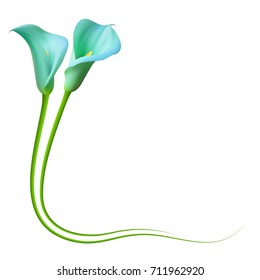 Realistic blue marlin calla lily frame, corner.