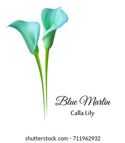 Realistic Blue Marlin Calla Lily.