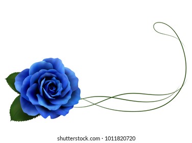 Realistic blue rose, border.