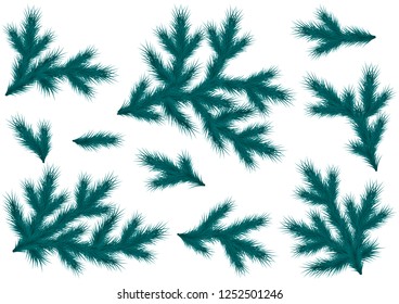 Realistic blue spruce branches. Set for decoration of a flyer, banner, header, poster for Christmas and New Year. Vector illustration.