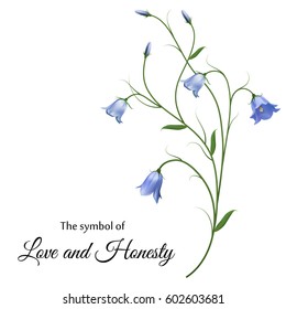 Realistic bluebell, the symbol of love and honesty