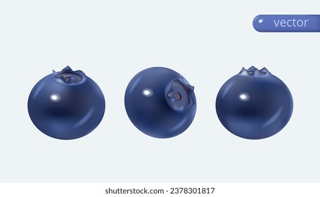 Realistic blueberries in different positions. 3d vector set isolated. Realistic vector in cartoon style